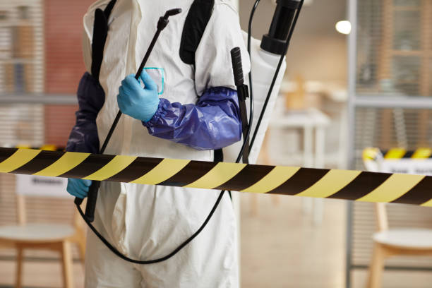 Professional Sewage Cleanup technician working in Portland, MI